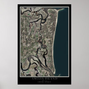 Amelia Island Florida From Space Satellite Map Poster