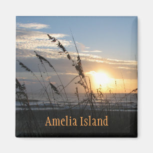 Amelia Island magnet
