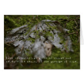 Amelia's Amazing Adventures (Front Horizontal)