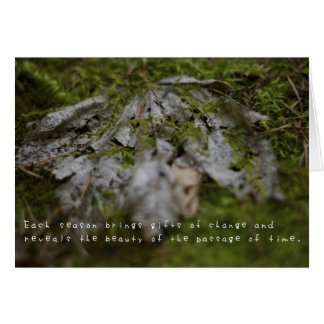 Amelia's Amazing Adventures