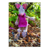 Amelia's Amazing Adventures (Front)