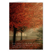 Amelia's Amazing Adventures (Front)