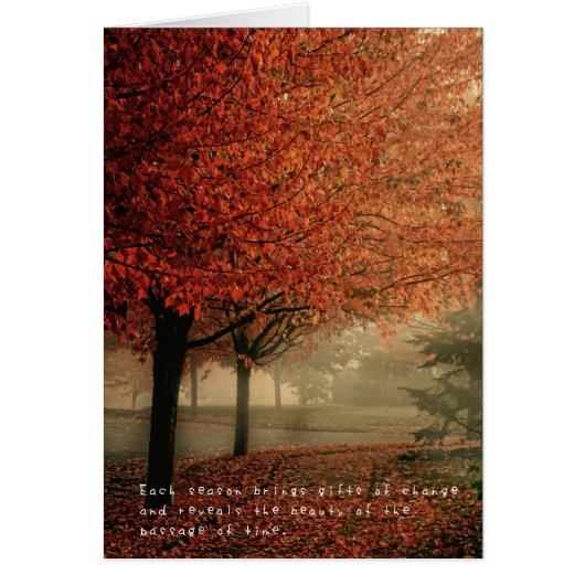 Amelia's Amazing Adventures (Front)