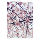 Amelia's Amazing Adventures (Front)