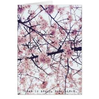 Amelia's Amazing Adventures