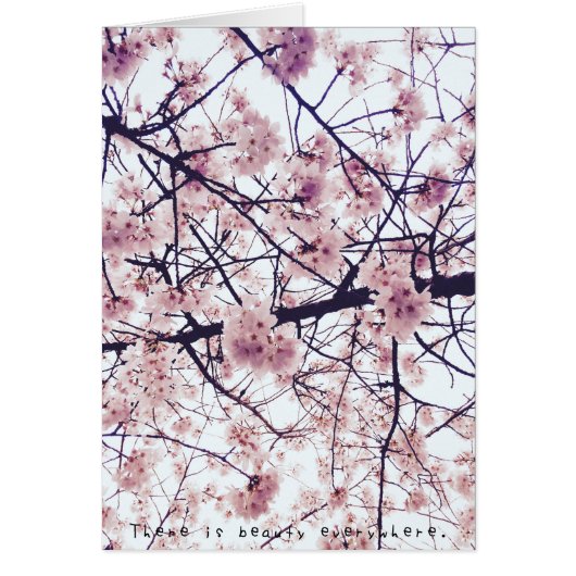 Amelia's Amazing Adventures (Front)