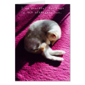 Amelia's Amazing Adventures Journal (Front)