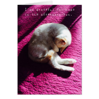 Amelia's Amazing Adventures Journal