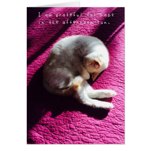 Amelia's Amazing Adventures Journal (Front)