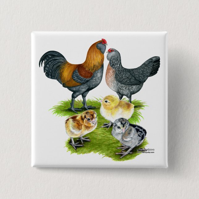 Ameraucana Chicken Family Button (Front)