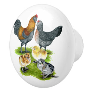 Ameraucana Chicken Family Ceramic Knob