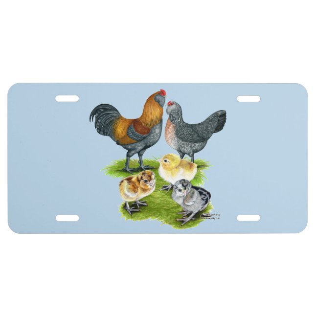 Ameraucana Chicken Family License Plate (Front)