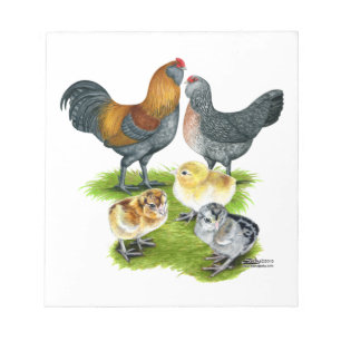 Ameraucana Chicken Family Notepad