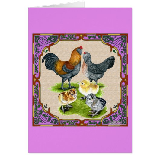 Ameraucana Family Framed (Front)