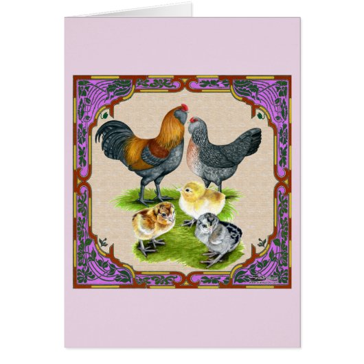 Ameraucana Family Framed (Front)