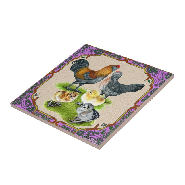Ameraucana Family Framed Ceramic Tile (Side)