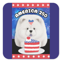 AMERICA 250  - CREAM Chow