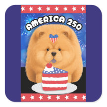 AMERICA 250  Red Chow
