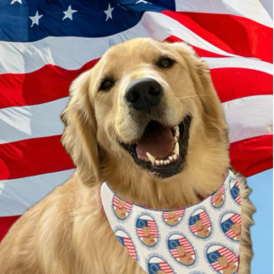 America 250 Sparking Freedom Dog Bandana