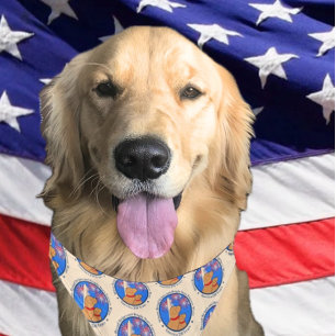 America 250 Special Edition DC Bandana