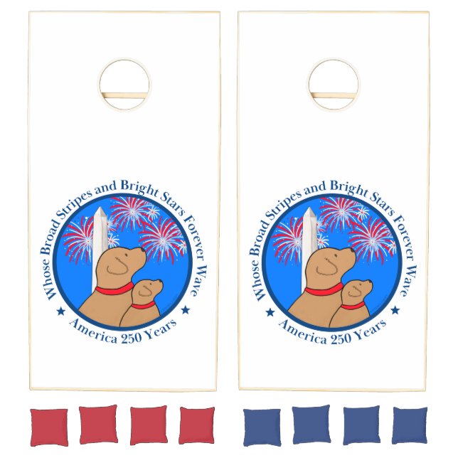 America 250 Special Edition DC Cornhole Set (Set)