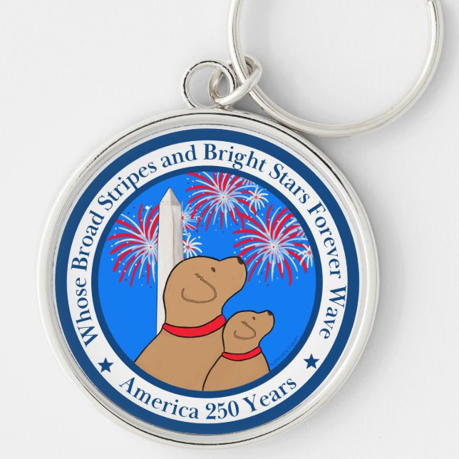 America 250 Special Edition DC  Keychain (Front)
