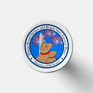 America 250 Special Edition DC Set of 25 Golf Tees