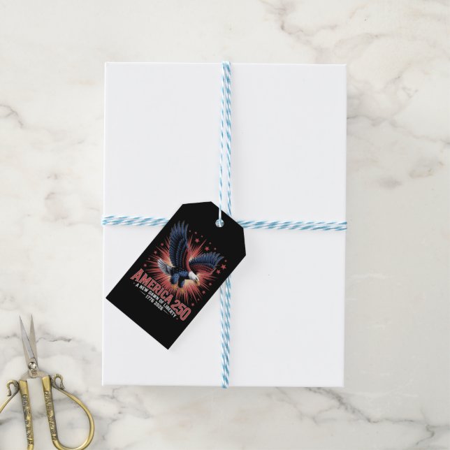 America 250th Anniversary  Gift Tags (With Twine)