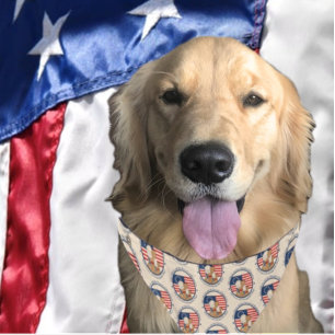 America 250th Paw, Patriots Preamble Dog Bandana