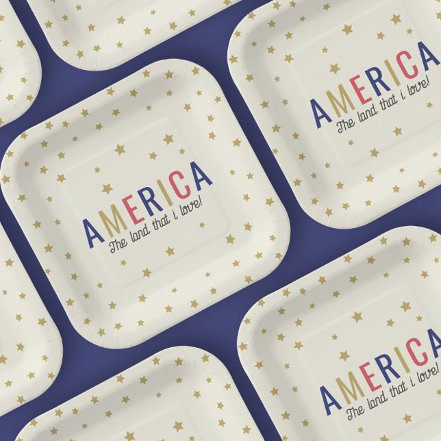 America 4th of July Decorations Paper Plates (Creator Uploaded)