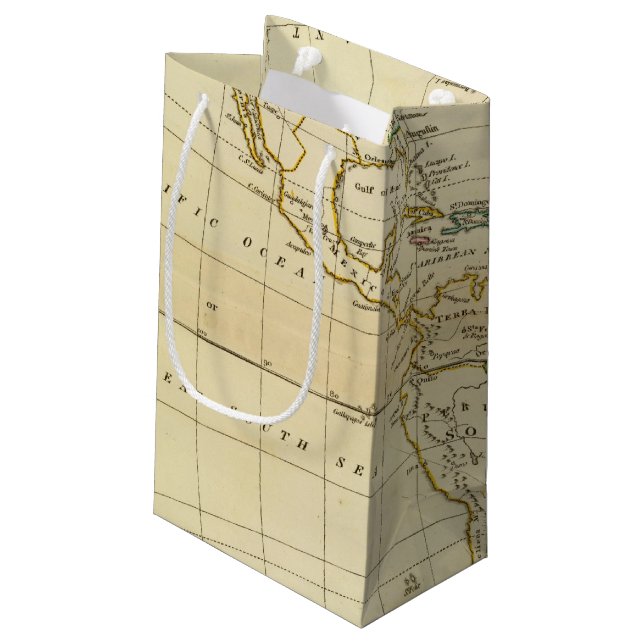 America 7 2 small gift bag (Back Angled)