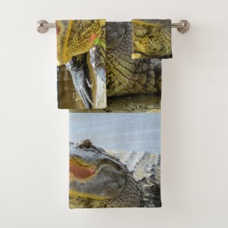 America alligator closeup. Face to face 