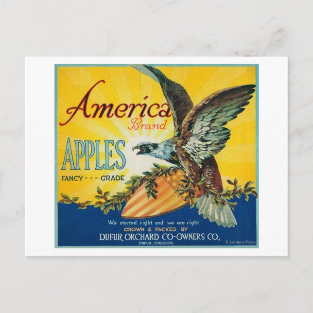 America Apple Crate LabelDufur, OR Postcard (Front)