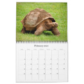 America - Ecuador - Galapagos - Calendar (Feb 2025)