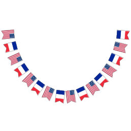 America France Wedding Bunting Flags
