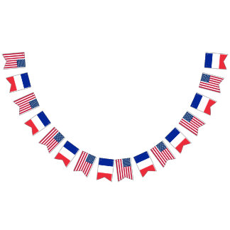America France Wedding Bunting Flags