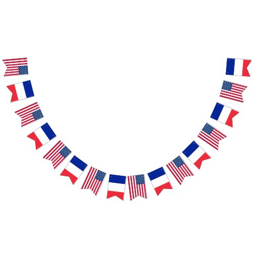 America France Wedding Bunting Flags