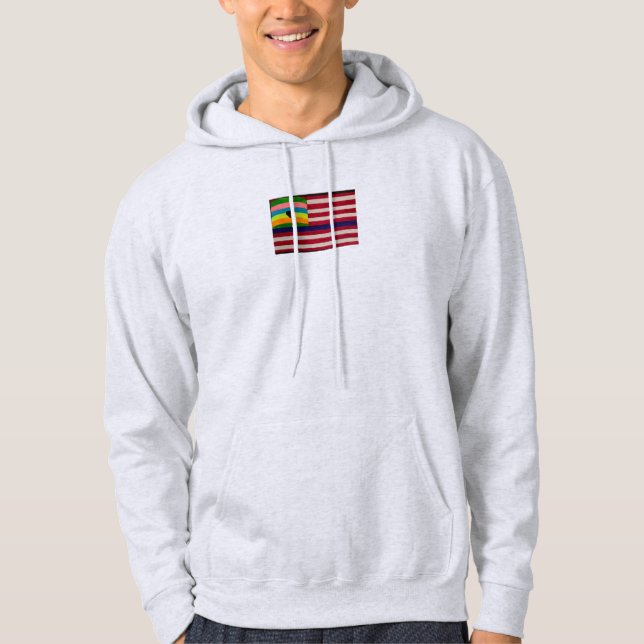 America has room T-shirt Hoodie (Front)