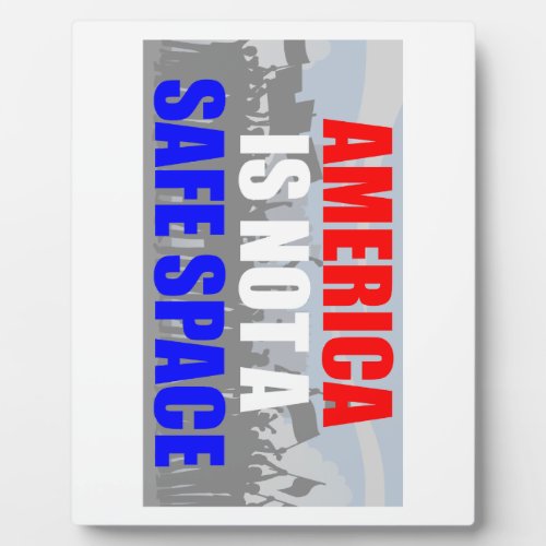 America Is Not A Safe Space Plaque