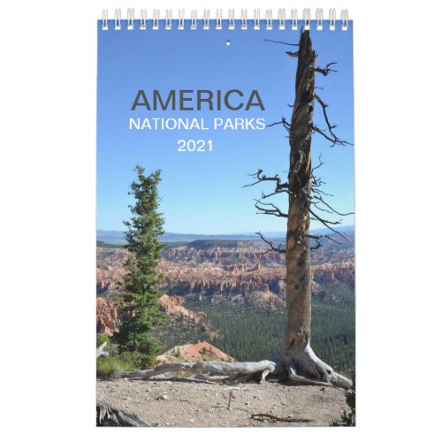 America National Parks nature photo calendar 2021