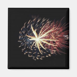 America Patriotic 349 Magnet