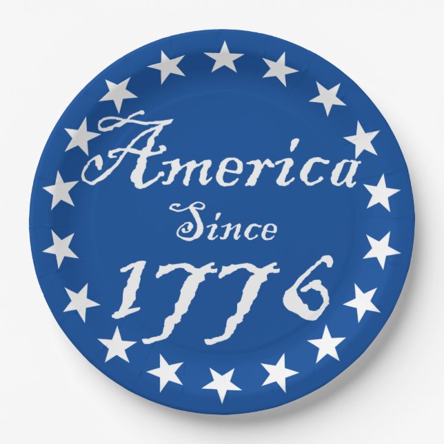 America Since 1776 Paper Plates (Front)