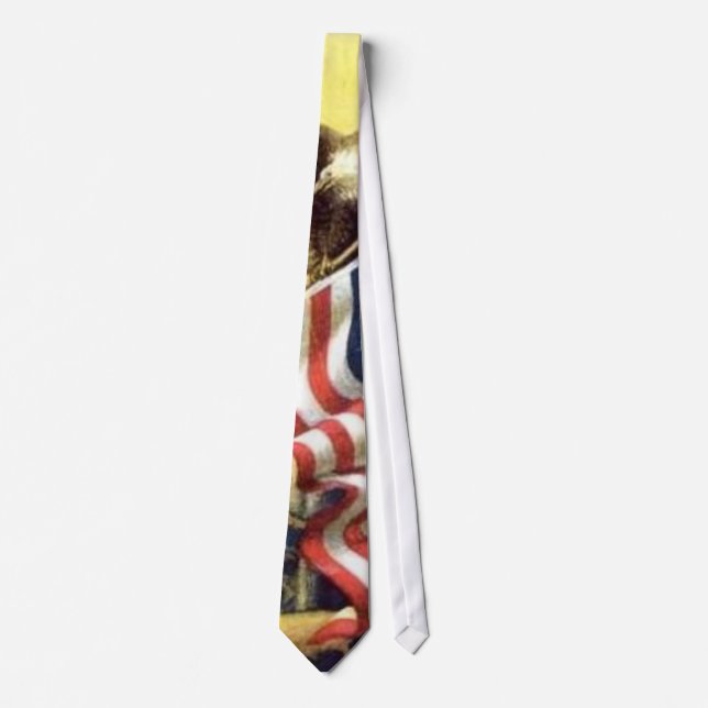 America The Beautiful! Neck Tie (Front)