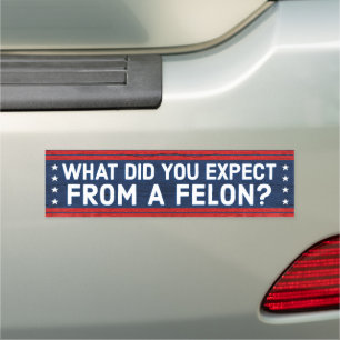 America the Great 2025 Political Car Magnet
