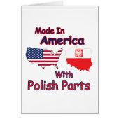 America With Polish Parts (Front)