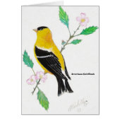 americam goldfinch, American Goldfinch (Front)