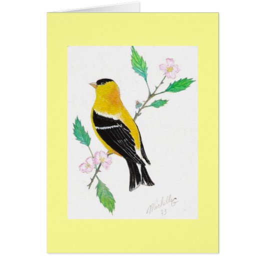 americam goldfinch cards (Front)