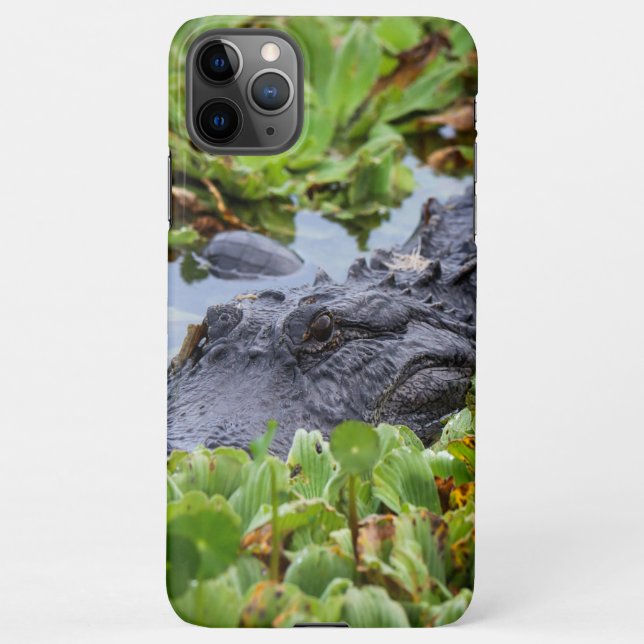 American Alligator amongst the plants - Vibrant  iPhone Case (Back)