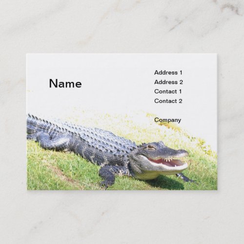 american alligator business card