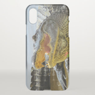 American Alligator. Face to Face iPhone X Case